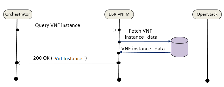 Query VNF Instance