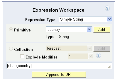 Expression Workspace section