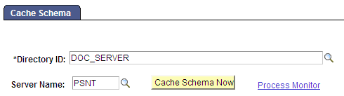 Cache Schema page