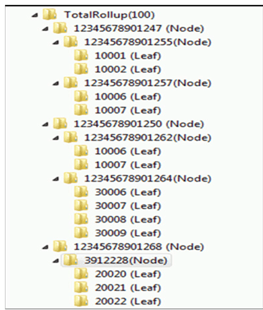 Hierarchy Structure Hierarchy Structure