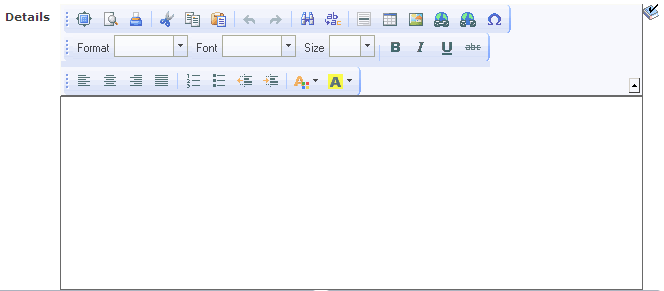Runtime long edit box showing rich text functionality