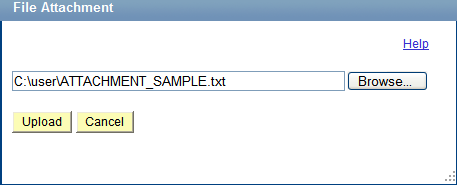 File Attachment dialog box