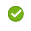 Successful icon