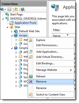 This figure shows the IIS CAPS Site from the IIS Connection column.