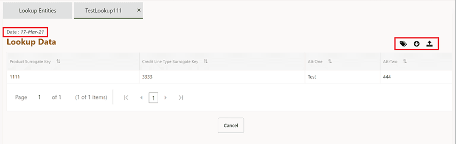 This illustration displays the View Data for Lookup Entity. Click the View Data to see the last updated lookup data for a given entity.