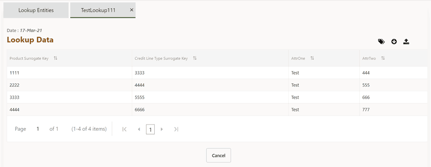 This is an example illustration displaying the table after updating the downloaded excel sheet is displayed on the View Data window.