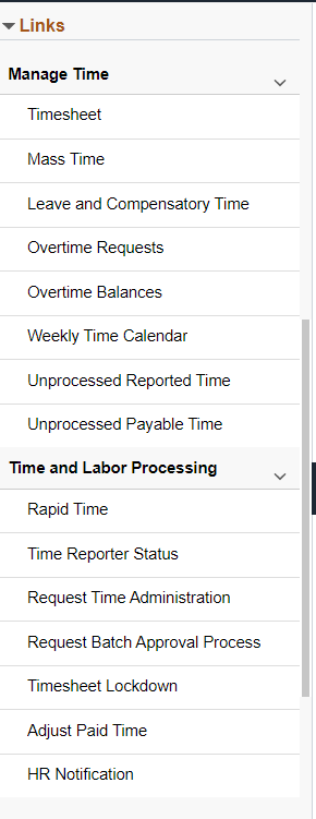 Time and Labor Link group box_Manager