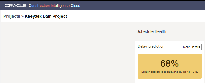 Chance of Delay of this Project Section of the Schedule Health Page-