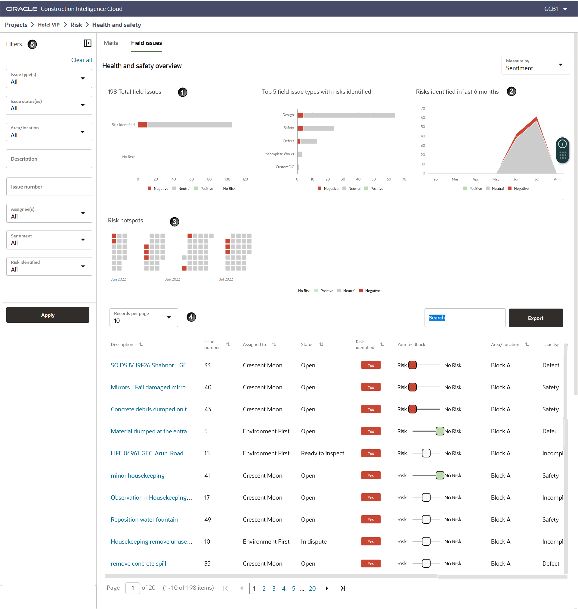Field Issues Tab of the Health and Safety Risk Page