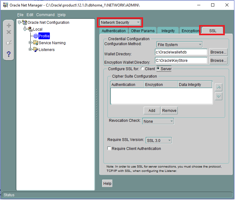 This figure shows the Profile Network Security Settings in Net Manager.