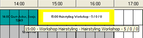 This figure shows the Workshop Hairstyling