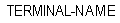 TERMINAL-NAME。 すべて大文字。 