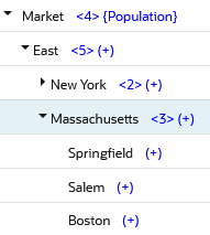 Marketディメンション・メンバーEastが拡大し、Springfield、Salem、Bostonという子メンバーを持つMassachusettsが示されています。 Marketディメンション・メンバーEastが拡大し、Springfield、Salem、Bostonという子メンバーを持つMassachusettsが示されています。