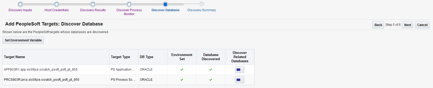 Add PeopleSoft Targets : Discover Database page