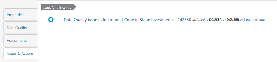 This illustration shows the details of system-generated issues created for control.