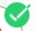 Successful Execution Icon Successful Execution Icon