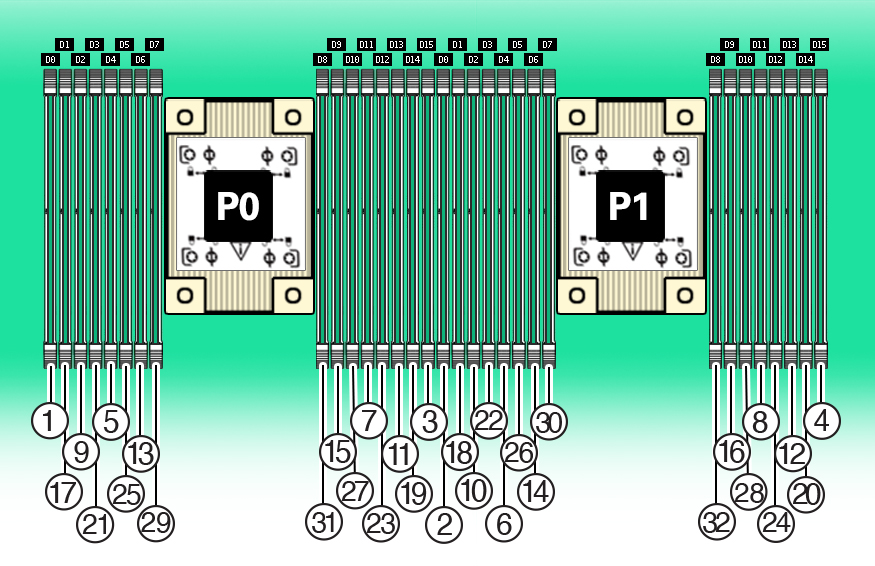 image:图中显示了每个处理器的 DIMM 插槽编号。