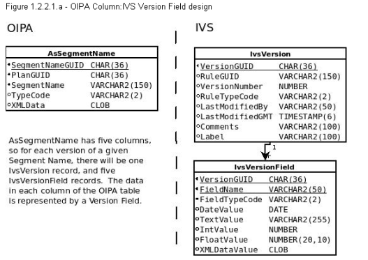 OIPA Column and IVS Version Field Design