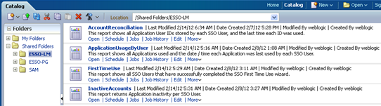 Description of bi_pub_reports_folder_crop.png follows