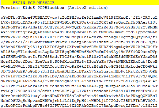 The figure shows an excerpt of an encrypted output file.