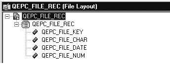 QEPC_FILE_REC File Layout