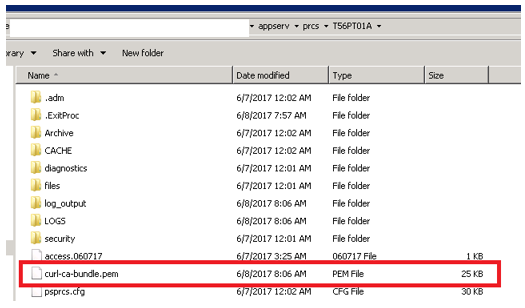 Certificate bundle in PEM format