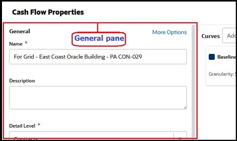 This image displays the general pane of the cash flow properties window.