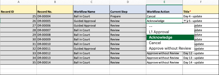 Image of an Excel worksheet, showing a new column titled Workflow Action and an open drop-down menu of choices for the current record's workflow.