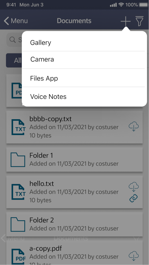 Image of an iOS device screen, showing the button to upload a document and the selector of four sources gallery, camera, files app, or voice notes.