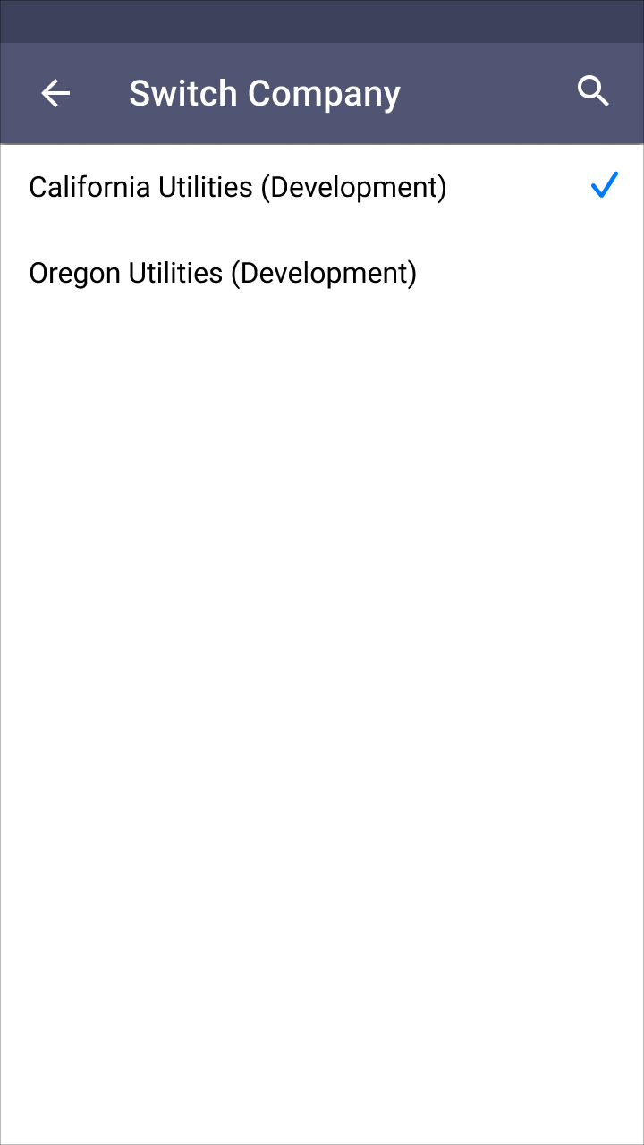 Switch Company screen, with two companies displayed and the first one chosen, indicated by a check mark.