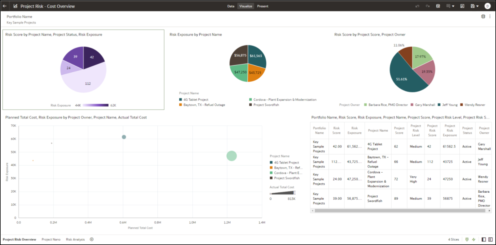 Project Risk Overview