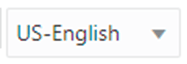 Description: Language Icon