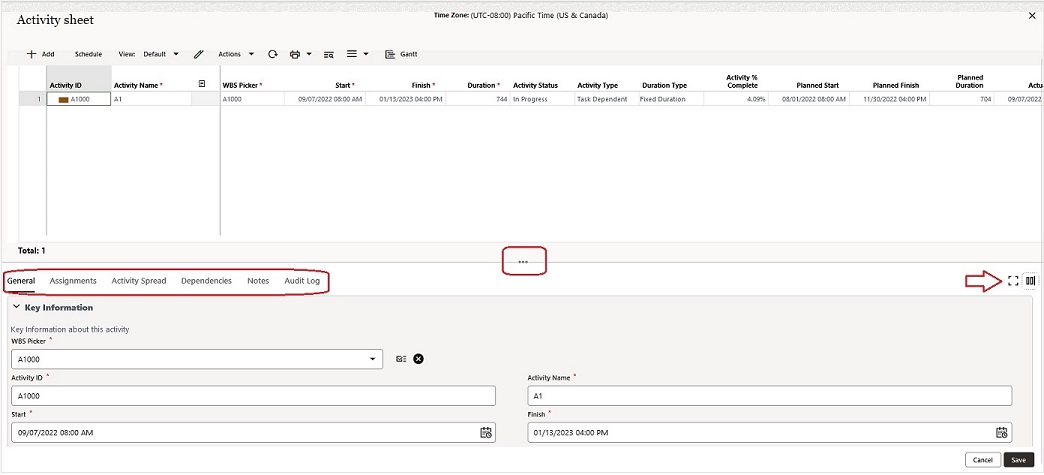 This image displays the activity sheet window and where the tabs reside.