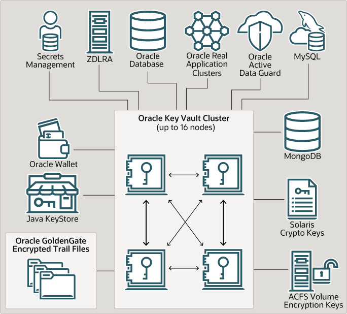 図1-1の説明が続きます。