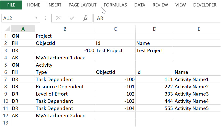 An Excel File with a Single Project