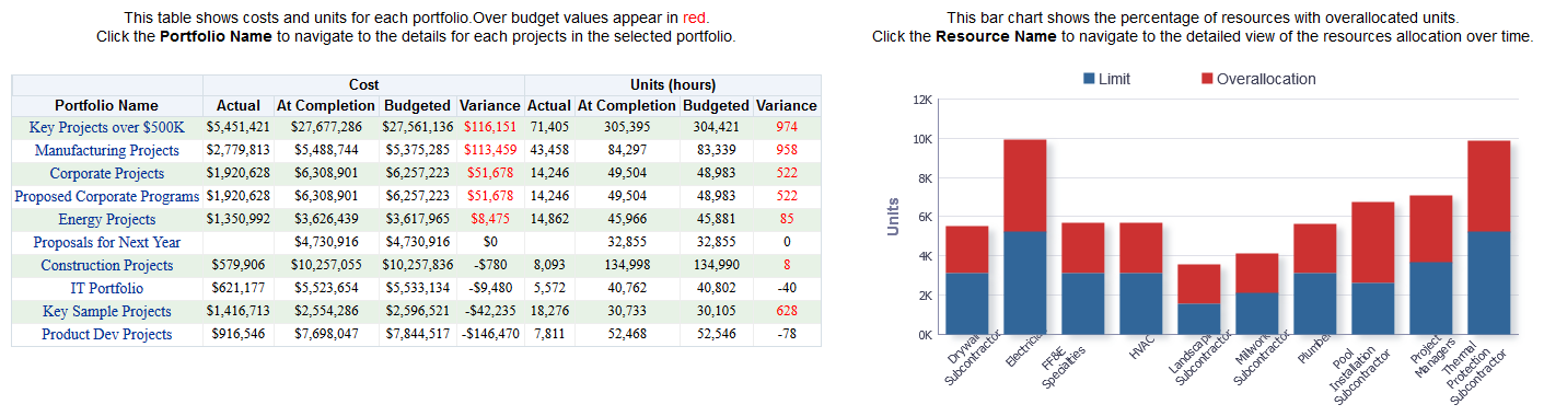 Project Summary section pivot table.