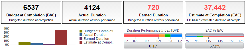 Activity Worksheet pivot table.