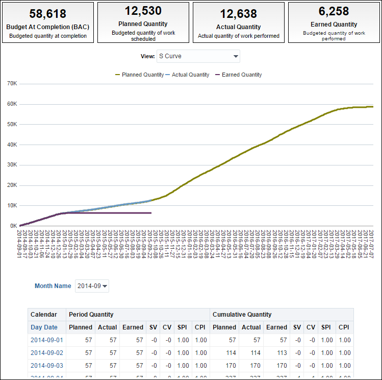 Activity Worksheet pivot table.