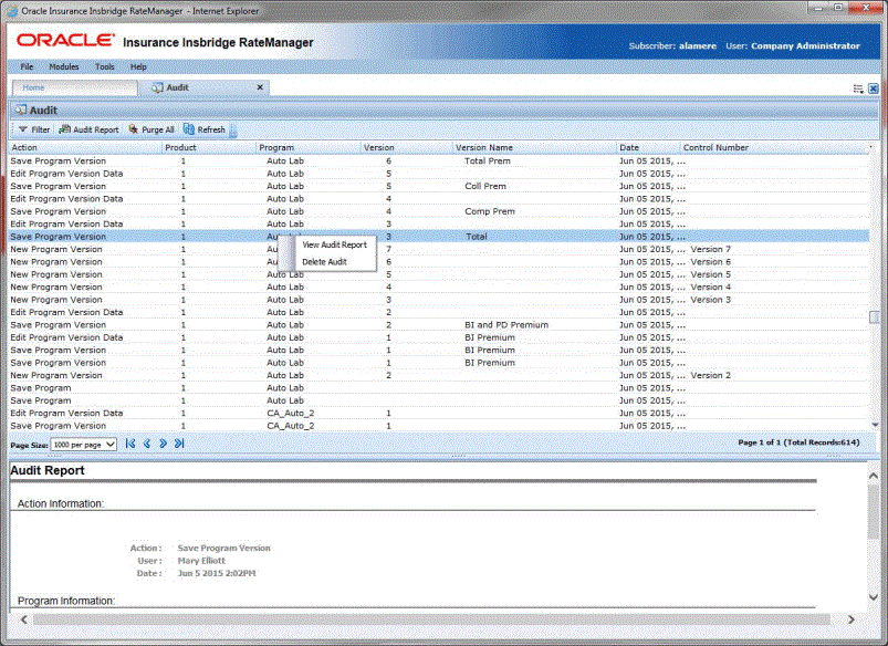 Audit Functions