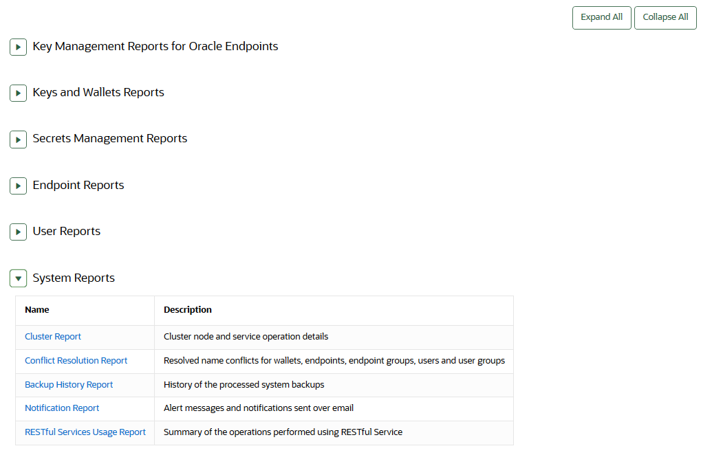 21_system_report.pngの説明が続きます 21_system_report.pngの説明が続きます