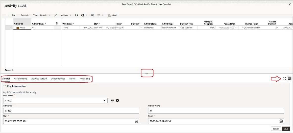 This image displays the activity sheet window and where the tabs reside.