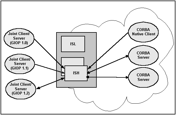 サポートされる共同クライアント/サーバーIIOP接続の図 サポートされる共同クライアント/サーバーIIOP接続の図