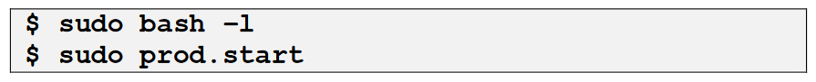 sudo-prod-start