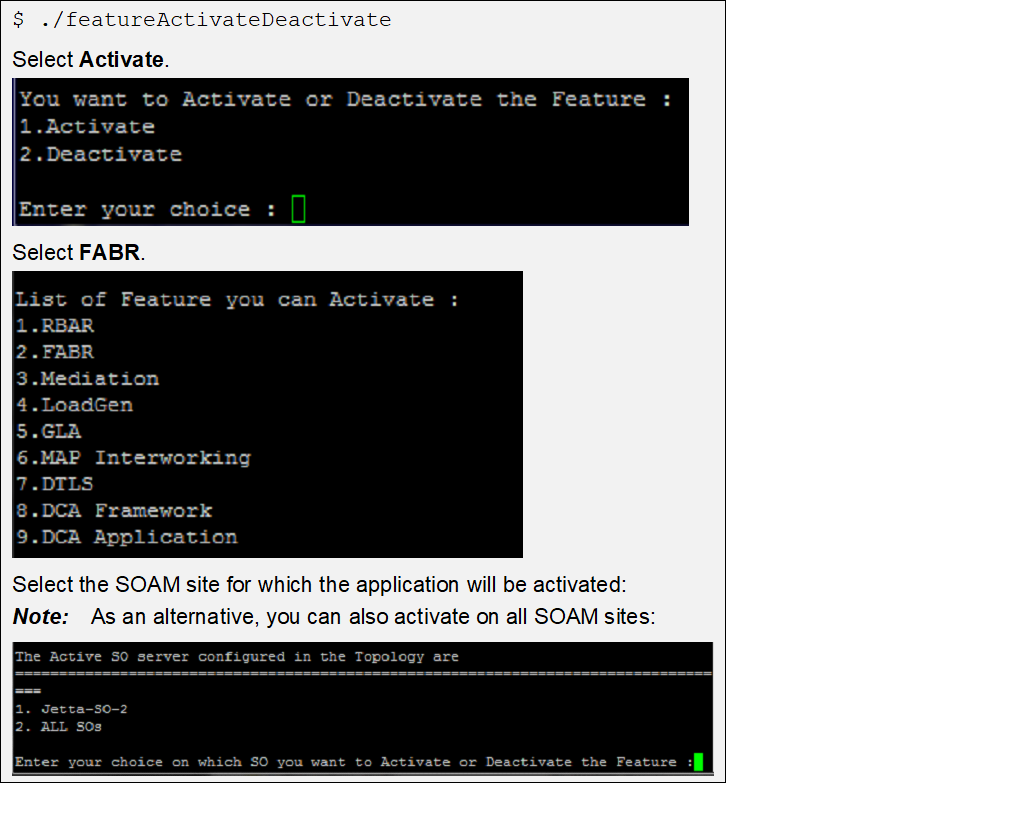 Feature Activation Script