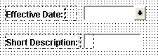 Field labels demonstrating proper label positioning (Effective Date) and translation buffer overlap (Short Description)