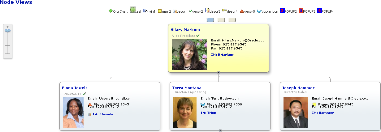 Organization chart with three node views
