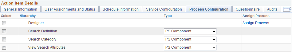 Action Item Details - Process Configuration tab