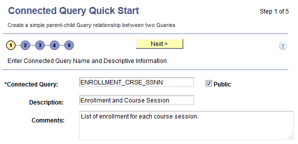 Connected Query Quick Start - Enter a Name and Descriptive Information page