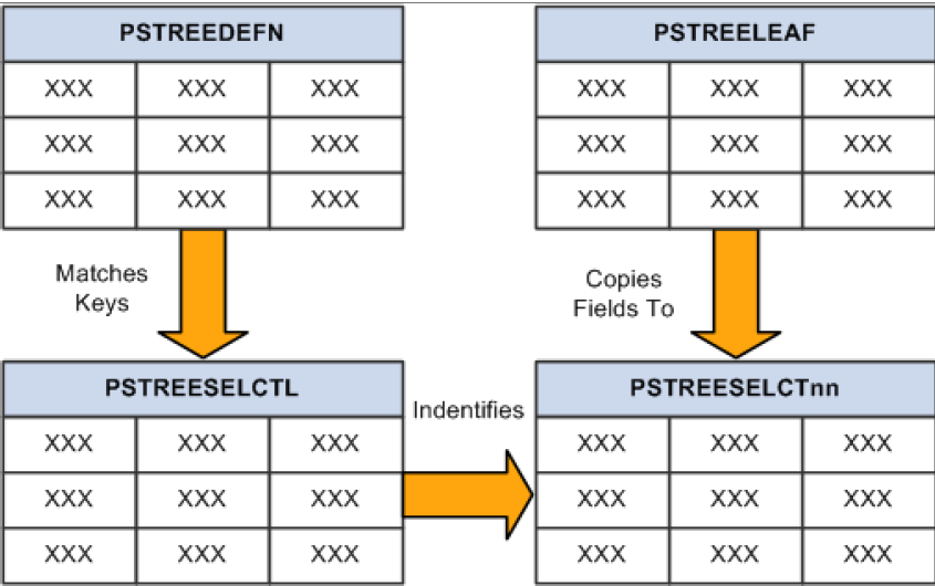 The relationship between regular tree definition system tables with its counterpart of cache tables.