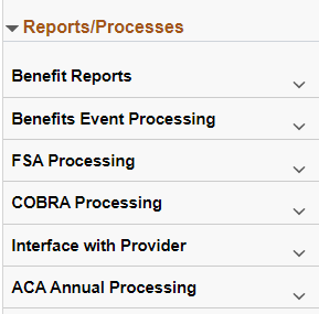 Benefits WorkCenter - Reports/Processes Group Box